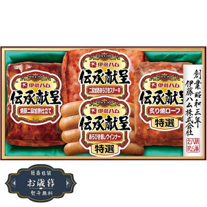 Ε ɓn ` Mtg GM-300Mtg v[g 蕨  l ̂  yLOI25Εz