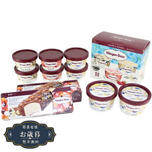 お歳暮 ハーゲンダッツ スペシャル セット HD-SPギフト プレゼント 贈り物 包装 熨斗 のし 無料 【LOI25歳暮】