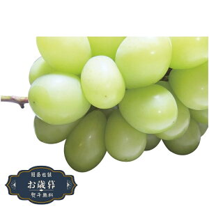 Ε _Cʉ VC}XJbg SYM-80RWMtg v[g 蕨  l ̂  yLOI25Εz