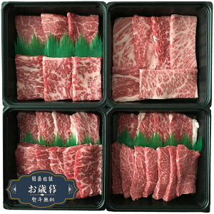 Ε {Y a ē ꓪ 2088505050Mtg v[g 蕨  l ̂  yLOI25Εz