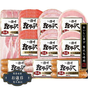 Ε MBn yV[Y yoGeB[ Mtg Zbg SK-510Mtg v[g 蕨  l ̂  yLOI25Εz