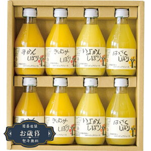 Ε ɓ_ 100 sAW[X 8{ Mtg Zbg 50708GMtg v[g 蕨  l ̂  yLOI25Εz