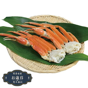 Ε 킢I r K912020-2Mtg v[g 蕨  l ̂  yLOI25Εz