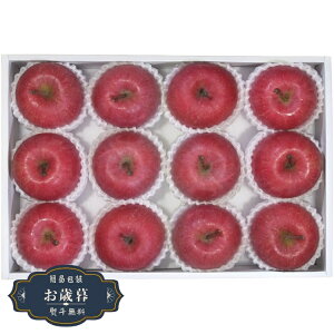 Ε _Cʉ XY  AFR]65RWMtg v[g 蕨  l ̂  yLOI25Εz