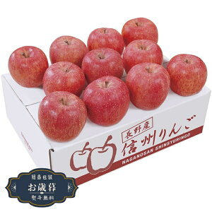 お歳暮 ダイワ果園 長野県産 サンふじりんご RA-45RWギフト プレゼント 贈り物 包装 熨斗 のし 無料 【LOI25歳暮】