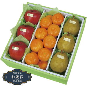 Ε _Cʉ EC^[ t[c l WF-55RWMtg v[g 蕨  l ̂  yLOI25Εz