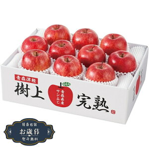 お歳暮 青森県産 樹上完熟 サンふじ りんご H-A4Sギフト プレゼント 贈り物 包装 熨斗 のし 無料 【LOI25歳暮】