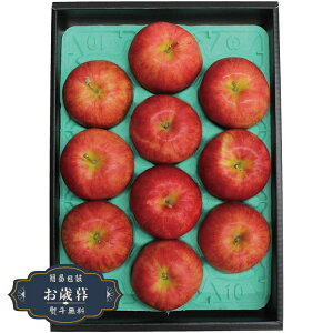 お歳暮 信州 サンふじ りんご YO-724ギフト プレゼント 贈り物 包装 熨斗 のし 無料 【LOI25歳暮】