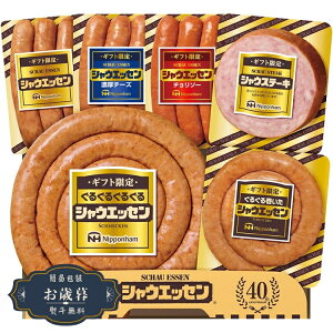 Ε jb|n Mtg  VEGbZ SEG-500Mtg v[g 蕨  l ̂  yLOI25Εz