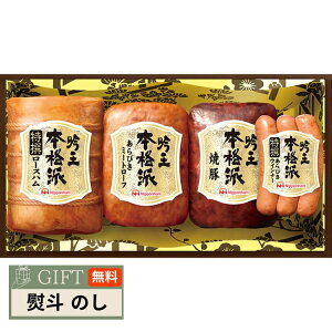 {n jb|n {ih ቤ MtgZbg FS-500 Mtg v[g 蕨  l ̂  yLOIz