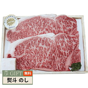 _˃r[t T[CXe[L 9113102 Mtg v[g 蕨  l ̂  yLOIz