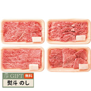 ㋍ ēHה 4Zbg RKMBY48-MA Mtg v[g 蕨  l ̂  yLOIz