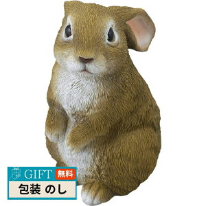 Z[uC_Xg[ ~j  SV-5868 Mtg v[g 蕨   l ̂  yLOIz