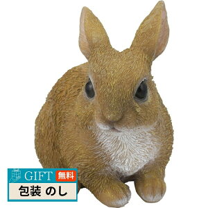 Z[uC_Xg[ ̂  SV-5967 Mtg v[g 蕨   l ̂  yLOIz