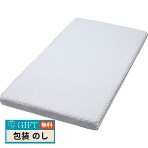  _Ŏx }bgX ۊ^Cv HC08308551 Mtg v[g 蕨   l ̂  yLOIz