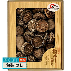 ő ő̗ 啪Yőǂ S-40 Mtg v[g 蕨   l ̂  yLOIz