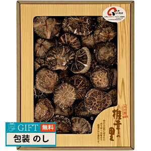 ő ő̗ 啪Yőǂ S-50 Mtg v[g 蕨   l ̂  yLOIz