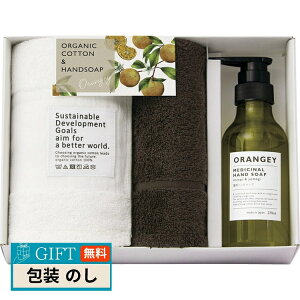 gN_ ORANGEY IW pnh\[v I[KjbN^ĨZbg 19042 Mtg v[g 蕨   l ̂  yLOIz