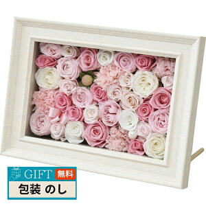 vUAW t[^Cv H18-566P Mtg v[g 蕨   l ̂  yLOIz