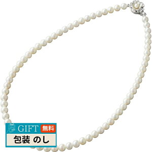 p[ p[ REx AR{^lbNX NS6 Mtg v[g 蕨   l ̂  yLOIz