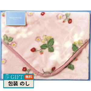  EFbWEbh ChXgx[ AN Ђ| щH sN FQ88400050P Mtg v[g 蕨   l ̂  yLOIz