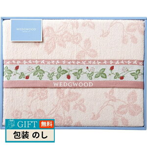 WEDGWOOD EFbWEbh ChXgx[ ^IPbg sN FR83600050P Mtg v[g 蕨   l ̂  yLOIz