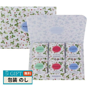 WEDGWOOD EFbWEbh Ch Xgx[ eB[obO 1052807WSN-10TB Mtg v[g 蕨   l ̂  yLOIz