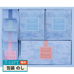 EFbWEbh VOj`[ A\[g 1067500NWA35 Mtg v[g 蕨   l ̂  yLOIz