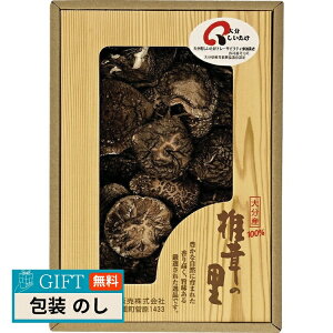 ő ő̗ 啪Y ő R-20 Mtg v[g 蕨   l ̂  yLOIz