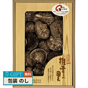 ő ő̗ 啪Y ő ǂ R-25 Mtg v[g 蕨   l ̂  yLOIz