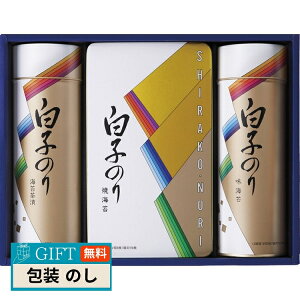 q̂ C Ђ l SA-300 Mtg v[g 蕨   l ̂  yLOIz