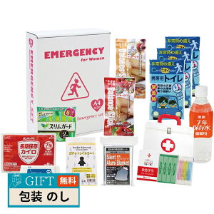 GsIX 1DAY ̍ЊQ΍ 12_Zbg SW-30 Mtg v[g 蕨   l ̂  yLOIz