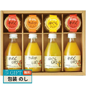 ɓ_ 100 sAW[X  W MtgZbg V-023 Mtg v[g 蕨   l ̂  yLOIz