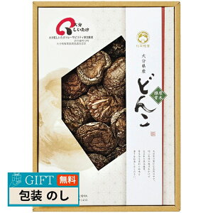 ő 啪Y őǂ IM-20 Mtg v[g 蕨   l ̂  yLOIz