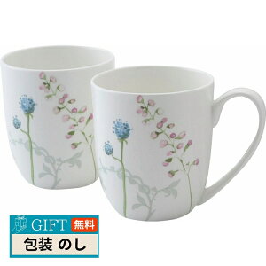 GCYC J~[ yA}O CAMI32079-2 Mtg v[g 蕨   l ̂  yLOIz