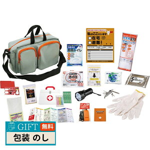 GsIX G}[WFV[ V_[obO 17_Zbg YS-50 Mtg v[g 蕨   l ̂  yLOIz