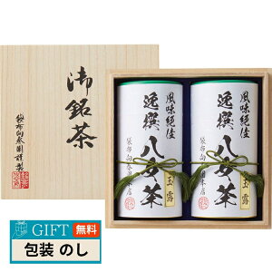 ܕzt{X  l ˔ YTS-10 Mtg v[g 蕨   l ̂  yLOIz