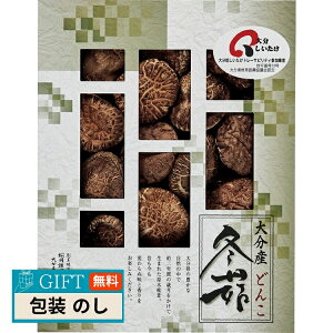 ő 啪Y őǂ MH40 Mtg v[g 蕨   l ̂  yLOIz