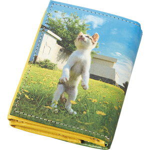 L ]̗L O܂RpNgz TW2151 Mtg v[g 蕨  yLOIz