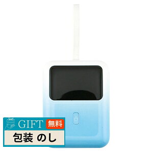 Metex ���e�b�N�X �G�o�p���[�u���C�g �p���[�`���[�W���[ PD-35 10�C000mAh �u���[ �� �z���C�g SYHPD-35-B/G �M�t�g �v���[���g ���蕨 ���� � ���l �̂� ���� �yLOI�z