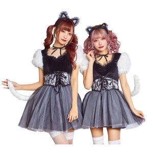 nEB ߑ  fB[X   RPeBbVK[[ ojLbg L Lbg lR Ln ˂ L  RXv RX`[