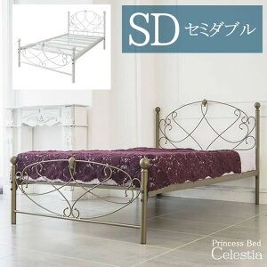 Celestia ZXeBA ACA xbh Z~_u F123cm sF206cm F102cm F28.5cm