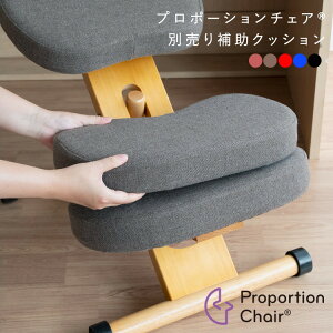 �v���|�[�V���� �`�F�A�p �⏕ �N�b�V���� ���F46cm ���s�F25cm �����F5.5cm