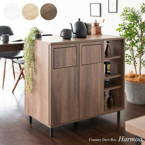 Harmoa nA JE^[ _Xg {bNX S~ 45L F90cm sF40cm F90cm