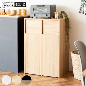 Helios ヘリオス 分別 キャスター ダスト ボックス ゴミ箱 45L 幅:60.5cm 奥行:43cm 高さ:90cm
