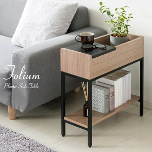 Folium tHE v^[ TChe[u uE F50cm sF20cm F55cm
