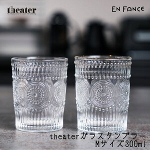 theater VA^[ KX^u[ M 300ml  ㎿ OX g qp yENFAz