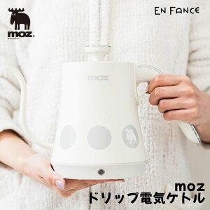 moz Y dCPg hbv ׌O[XlbN kfUC 1L  yENFAz