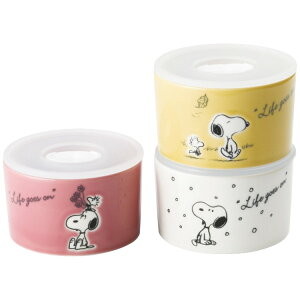 RX s[ibc V[YgIWpbNZbg SN610-82-S3