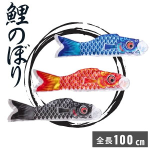 ̂ڂ S100cm@1m ̂ڂ    q̓ 55 ǂ̓ [߂̐ߋ  